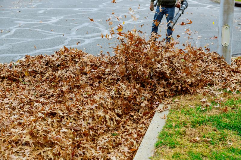 Professional Leaf Removal
