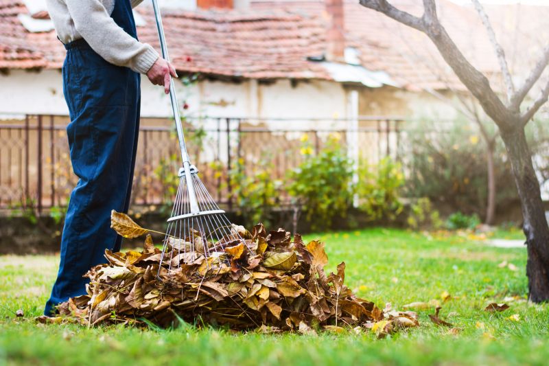 Fall Yard Maintenance Tools