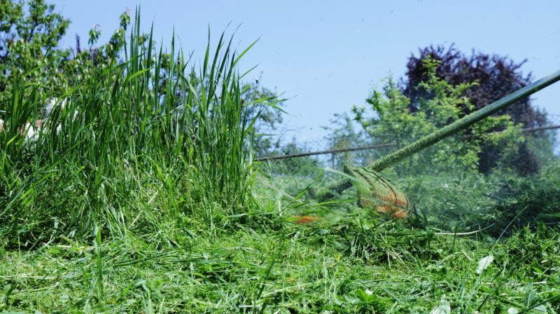 Tall Grass Cutting