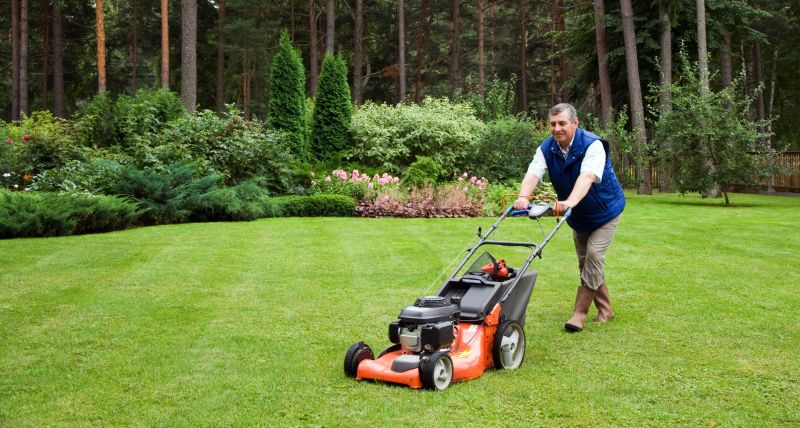 Lawn Care Consultation