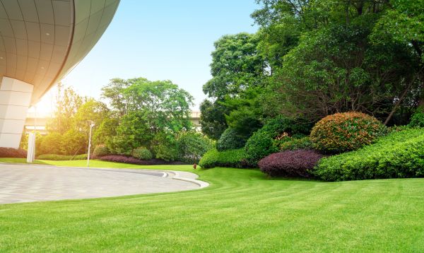 Commercial Lawn Mowing in Harrisburg