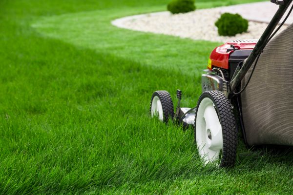 Grass Cutting Service in Harrisburg