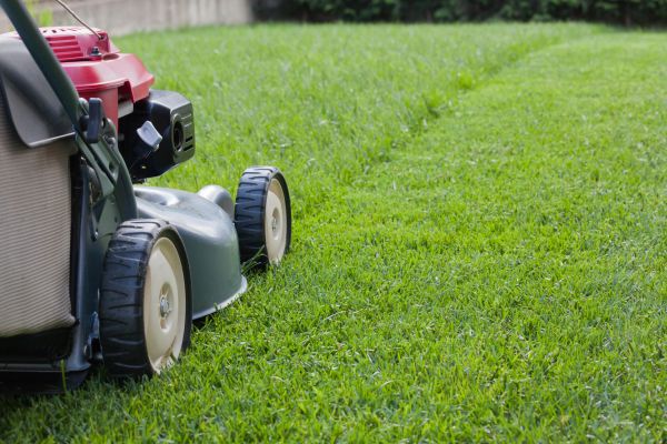 Lawn Care Service in Harrisburg