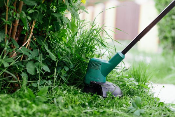 Weed Whacking in Harrisburg