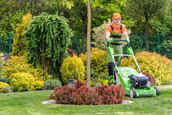 Yard Service in Harrisburg