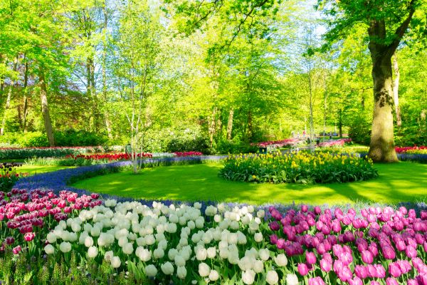 Spring Lawn Care in Harrisburg