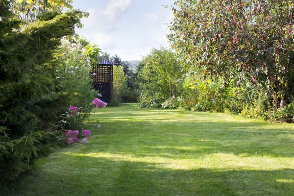 Cost of Yard Upkeep Service in Harrisburg