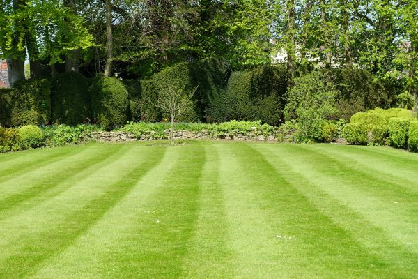 Grass Care Service in Harrisburg
