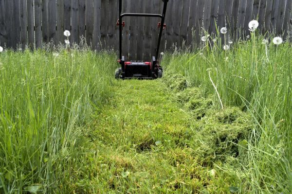 High Grass Mowing in Harrisburg