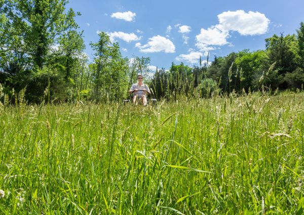 Long Grass Mowing in Harrisburg