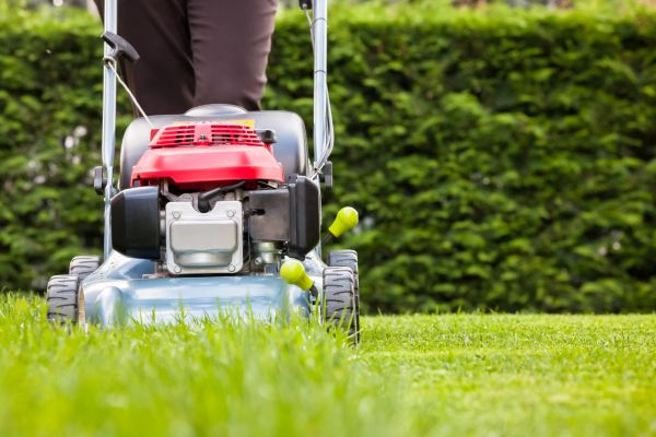 Grass Trimming Service in Harrisburg