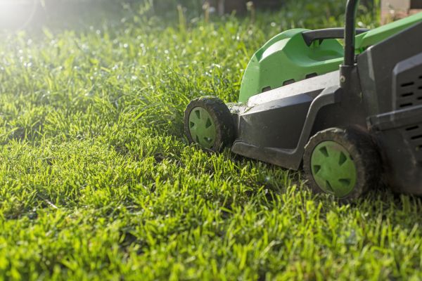 Cost of Yard Trimming in Harrisburg