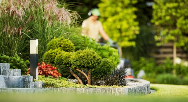 Residential Yard Maintenance in Harrisburg