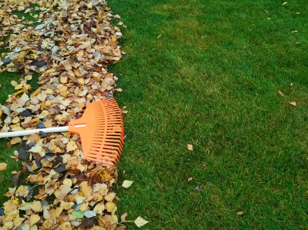 Fall Lawn Care in Harrisburg