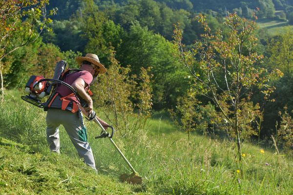 Slope Mowing in Harrisburg