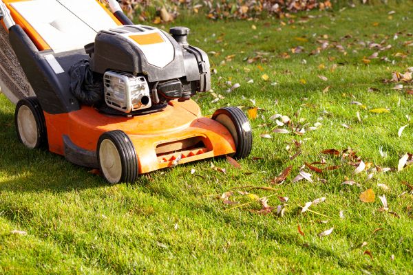 Cost of Fall Mowing in Harrisburg