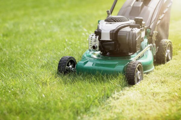 Cost of Spring Grass Trimming in Harrisburg