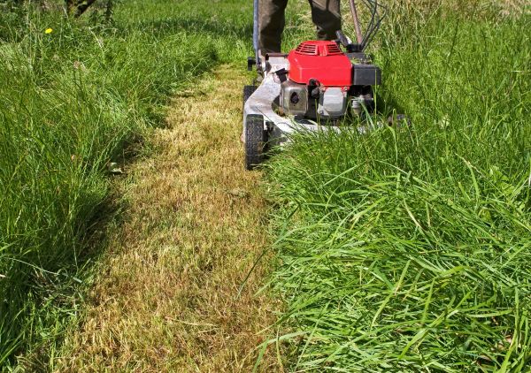 Cost of Leaf Mowing in Harrisburg