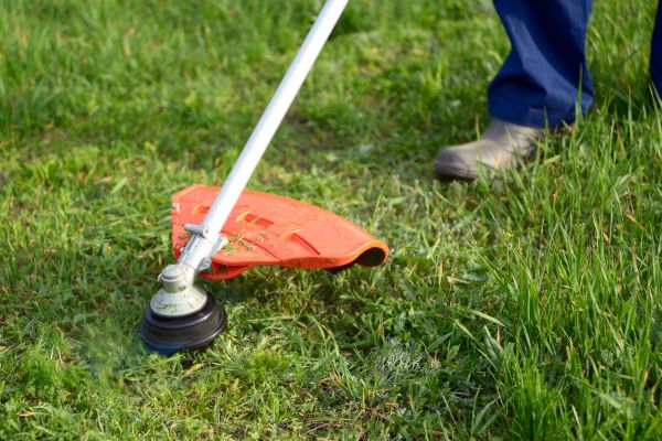 Cost of Lawn Weed Whacking in Harrisburg